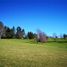  Land for sale in Los Rios, Los Lagos, Valdivia, Los Rios