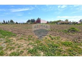  Terreno (Parcela) en venta en Maipo, Santiago, Buin, Maipo