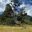  Terrain for sale in Curarrehue, Cautin, Curarrehue