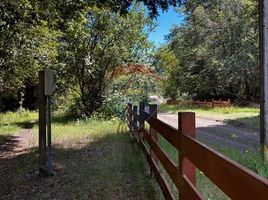  Terrain for sale in Curarrehue, Cautin, Curarrehue