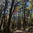  Terrain for sale in Curarrehue, Cautin, Curarrehue