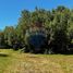  Terrain for sale in Curarrehue, Cautin, Curarrehue