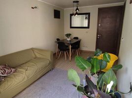 1 Bedroom Condo for rent in Puente Alto, Cordillera, Puente Alto