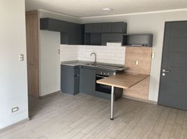 在智利出租的 住宅, Santiago, Santiago, Santiago, 智利