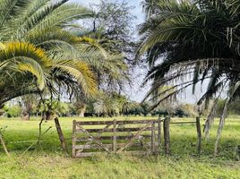  Terrain for sale in Uruguay, Entre Rios, Uruguay