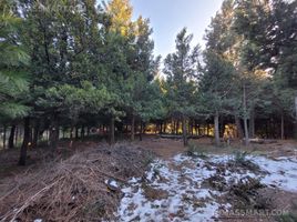  Land for sale in Rio Negro, Bariloche, Rio Negro