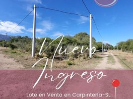  Land for sale in Junin, San Luis, Junin