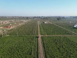  Land for sale in La Plata, Buenos Aires, La Plata