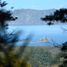  Land for sale in Neuquen, Los Lagos, Neuquen