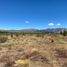  Land for sale in Neuquen, Lacar, Neuquen