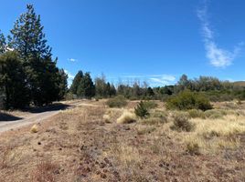  Land for sale in Neuquen, Lacar, Neuquen