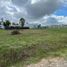  Land for sale in La Plata, Buenos Aires, La Plata