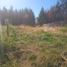  Land for sale in Chubut, Cushamen, Chubut