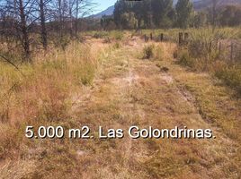  Land for sale in Chubut, Cushamen, Chubut