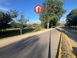  Land for sale in Junin, San Luis, Junin