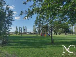  Terrain for sale in Lujan, Buenos Aires, Lujan