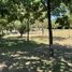  Terreno (Parcela) en venta en Argentina, Colon, Entre Rios, Argentina