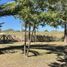  Terreno (Parcela) en venta en Argentina, Colon, Entre Rios, Argentina