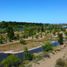  Land for sale in El Cuy, Rio Negro, El Cuy