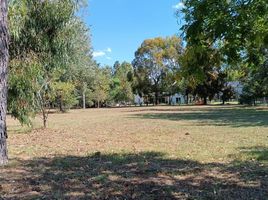  Terrain for sale in La Plata, Buenos Aires, La Plata