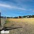  Land for sale in Tucuman, Tafi Viejo, Tucuman