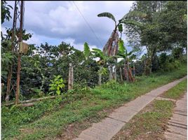 Grundstück zu verkaufen in Santa Rosa De Cabal, Risaralda, Santa Rosa De Cabal, Risaralda