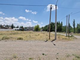  Land for sale in Confluencia, Neuquen, Confluencia