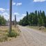  Land for sale in Confluencia, Neuquen, Confluencia