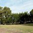  Land for sale in La Plata, Buenos Aires, La Plata