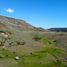  Land for sale in Alumine, Neuquen, Alumine