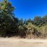  Land for sale in Rio Negro, Bariloche, Rio Negro