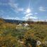  Land for sale in Rio Negro, Bariloche, Rio Negro