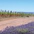 Studio House for sale in Confluencia, Neuquen, Confluencia, Neuquen