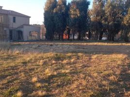  Land for sale in Tandil, Buenos Aires, Tandil