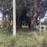  Land for sale in Tandil, Buenos Aires, Tandil