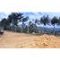  Land for sale in San Vicente, Antioquia, San Vicente