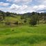  Terreno (Parcela) en venta en El Carmen De Viboral, Antioquia, El Carmen De Viboral