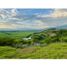  Land for sale in Palmira, Valle Del Cauca, Palmira