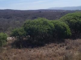  Terreno (Parcela) en venta en Punilla, Cordobá, Punilla