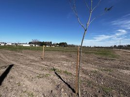  Terreno (Parcela) en venta en San Lorenzo, Santa Fe, San Lorenzo