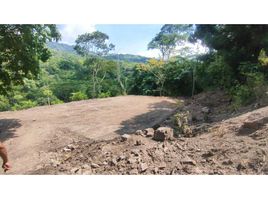  Land for sale in La Mesa, Cundinamarca, La Mesa