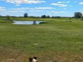  Terrain for sale in Lujan, Buenos Aires, Lujan