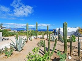 2 Habitación Departamento en venta en La Paz, Baja California Sur, La Paz, Baja California Sur