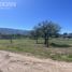  Land for sale in Junin, San Luis, Junin