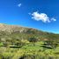  Terreno (Parcela) en venta en Chacabuco, San Luis, Chacabuco