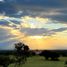  Terreno (Parcela) en venta en Chacabuco, San Luis, Chacabuco
