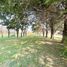  Land for sale in Lujan, Buenos Aires, Lujan