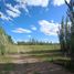 Studio Villa for sale in Puelen, La Pampa, Puelen, La Pampa