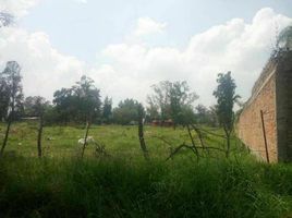 Terrain à vendre à Ixtlahuacan De Los Membrillos, Jalisco, Ixtlahuacan De Los Membrillos
