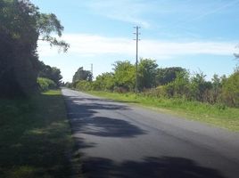  Land for sale in San Vicente, Buenos Aires, San Vicente